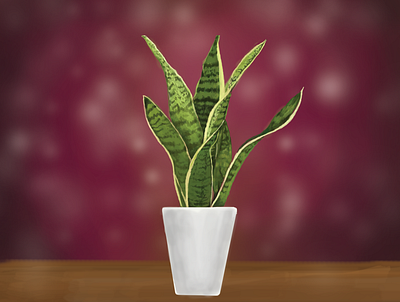 PLANT SERISE 3 digital painting houseplant illustration indoor house plant indoor plant indoor pots plant snake plant