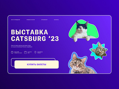 Catsburg Concept cat design graphic design web design