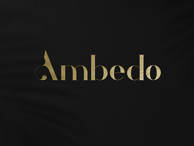 Logo Type ambedo branding design identity logo logobrand logomark logotype text logo type typo typography