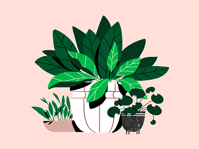 Plants art character cozy design draw graphic design greenery home illustration nature pattern plant plants texture