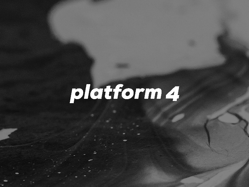 Platform 4 Identity Development