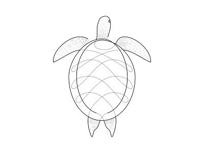 Turtle bw dotwork illustration pointillism single line spaghetti