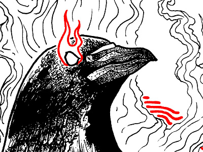 Crow bird black bw crow dark halloween illustration