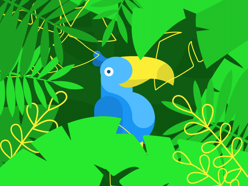 Brazil aftereffects bird brazil design illustration illustrator motiongraphics vector