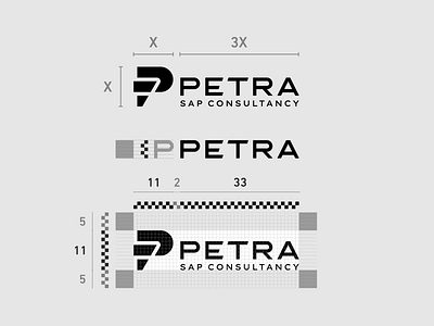 PETRA | Logo | Branding | Visual Identity brand guidelines ( manual ) branding consultancy graphic design identity logo logo design sap ui