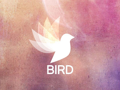 Bird Logo animal bird branding illustrator logo merchandising vector