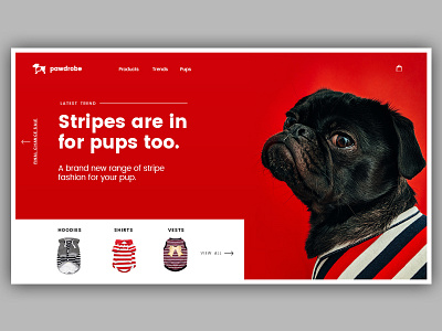 Pawdrobe | Dog Fashion dog modern photography puppy red summer ui unsplash web design website