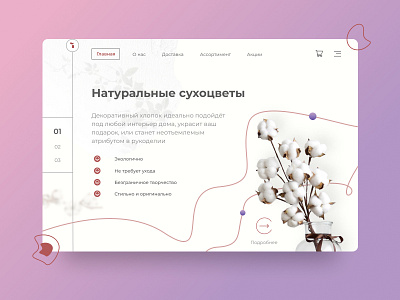 Главная обложка магазина сухоцветов banner design illustration