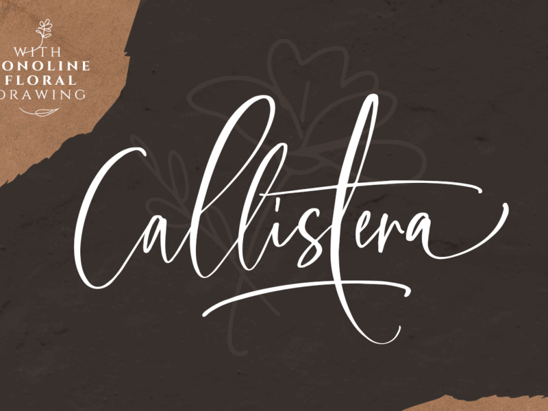 Callistera Signature Script (+BONUS) bold fonts branding custom fonts design elegant fonts illustration logo logo fonts typography