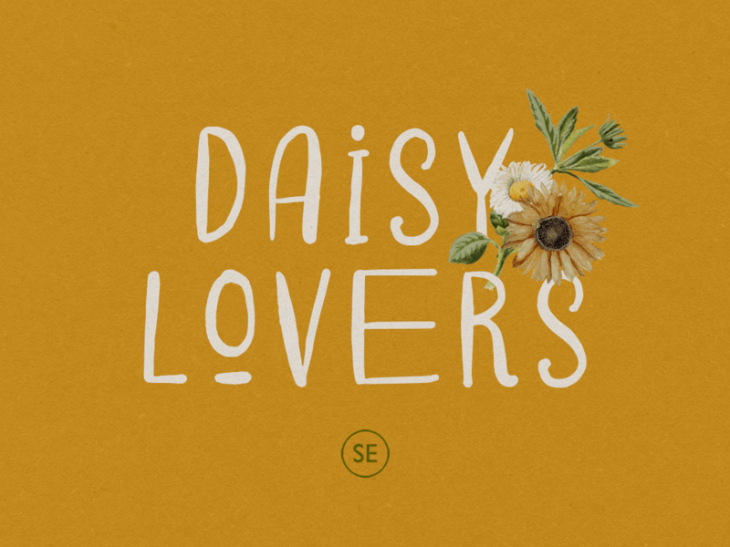 Daisy Lovers – Handwritten Sans aesthetic typography