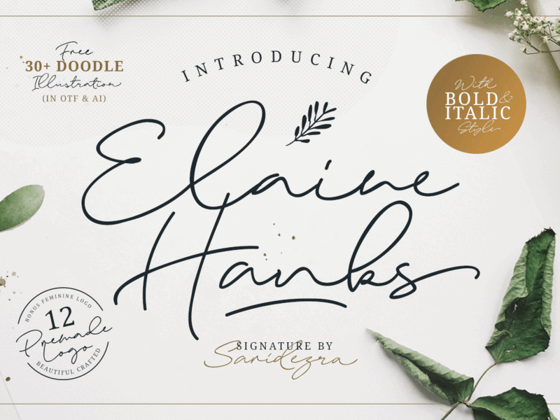 Elaine Hanks (+Feminine Logo Pack) by Sarid Ezra on Dribbble