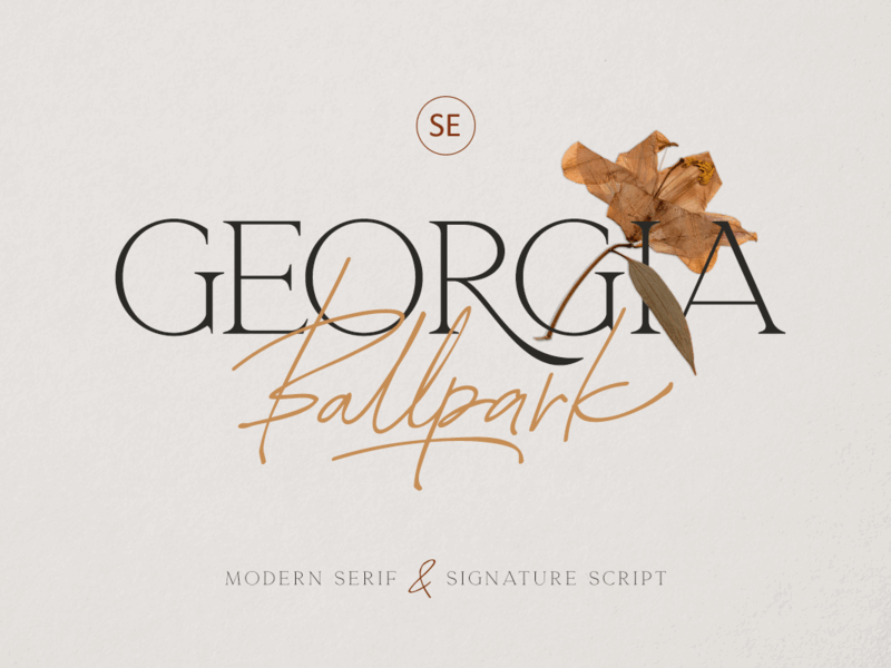 Georgia Ballpark – FONT DUO font duo typography