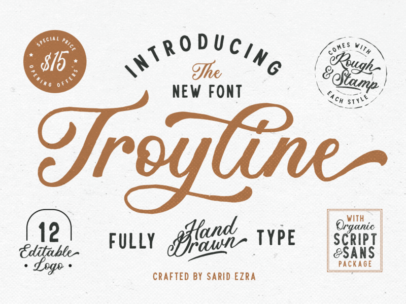 Troyline – Font Duo (+Logotype) organic stamp fonts typography