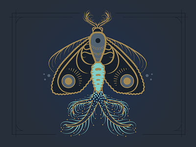 Moth No. 2 antenna bug coremata dark gold illustration insect moth specimen vector wings