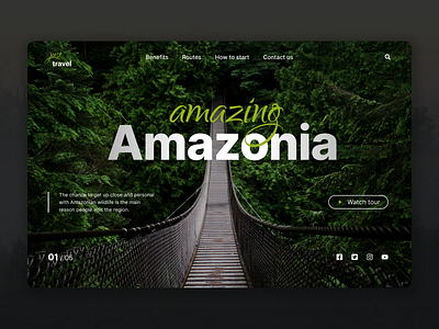 Amazonia website design