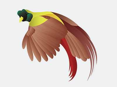 Bird of Paradise digital art illustration
