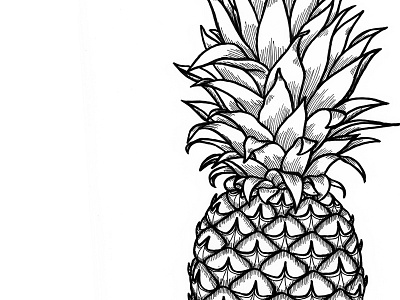 pineapple black drawing fruit illustration leaves patterns pen pineapple