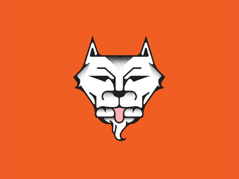 Tiger or Wolf? orange monoline line work lines color illustration tiger wolf