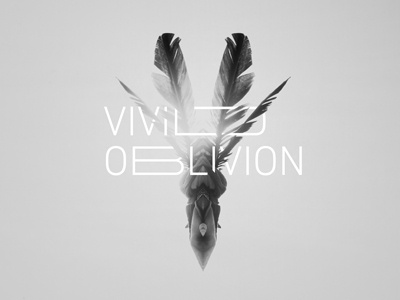 Vivid Oblivion art gallery photography show