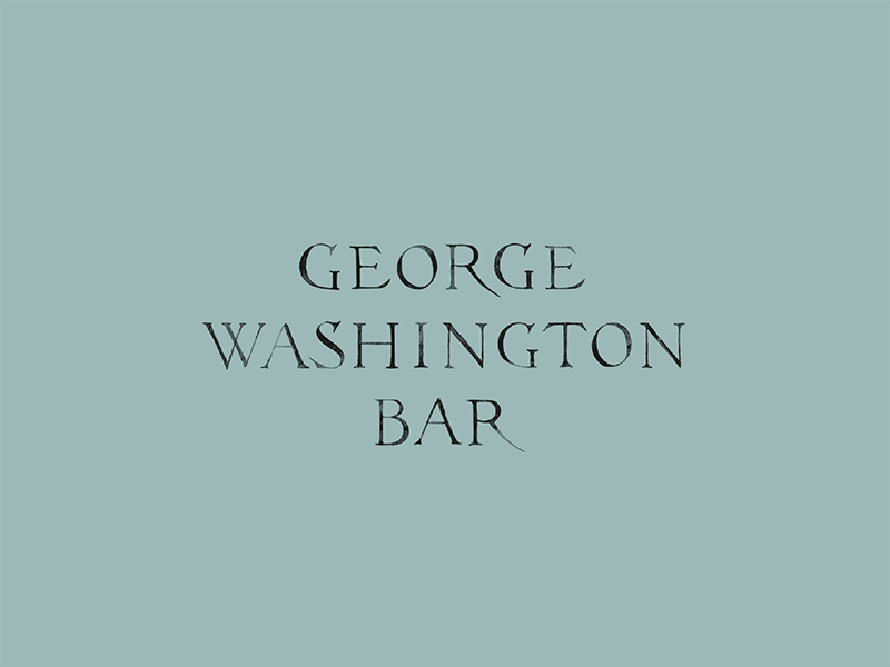 Washington Bar by NiFe (Jennifer) LuceyBrzoza on Dribbble