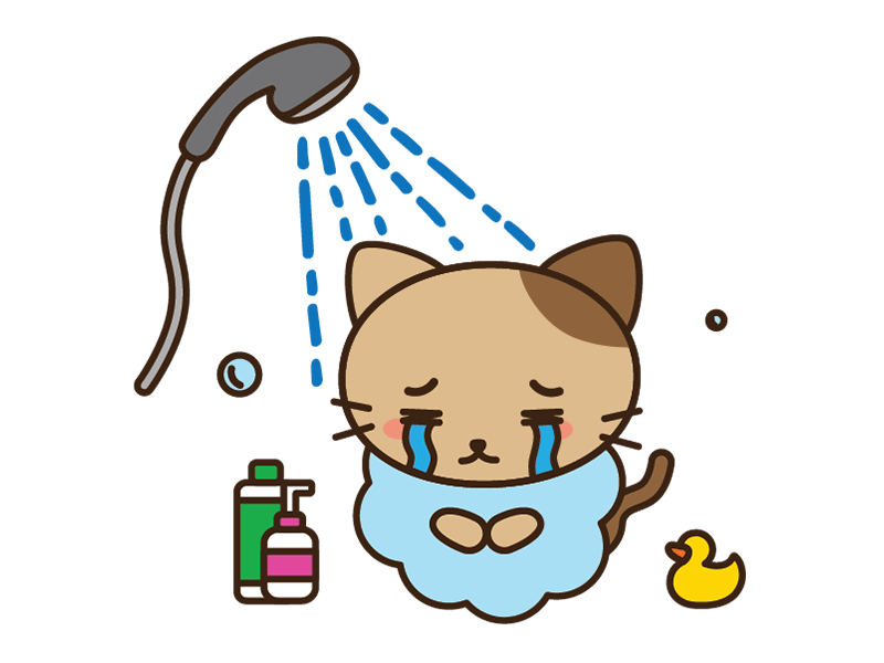 Lonely Cat Series: Shower Time