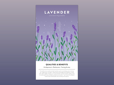 Lavender aroma aromatherapy design essential oil flower help lavender plant purple