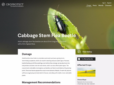 Damn Pests! agriculture bugs crops farm simple website