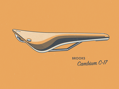 Brooks Cambium C-17