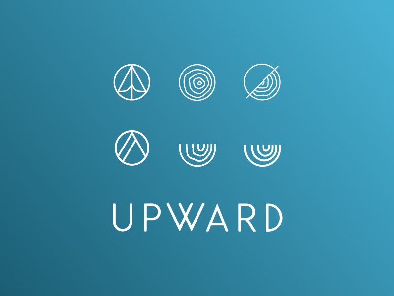 Logo variations. Logo variations. Дизайн логотип вариации. Ced logo. Variant logo.