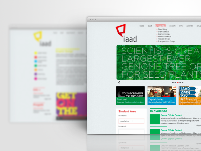 IAAD web design concept mock up webdesign