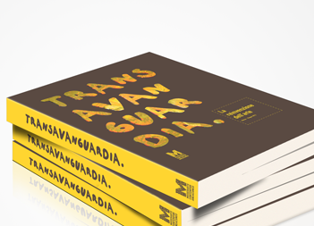 Transavanguardia Exhibition Catalogue book cover book design book mock up graphic design
