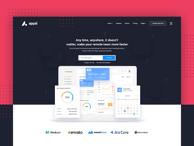 Appal Premium Saas Application Software Landing page Concept