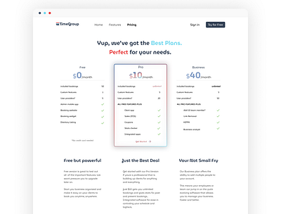 TimeGroup : : Concept Booking Service : : Pricing page app branding clean cool design logo pricing typography ui ux visual