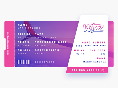 Wizz Ticket Concept air boarding flight illustration life pass sky ticket wizz world