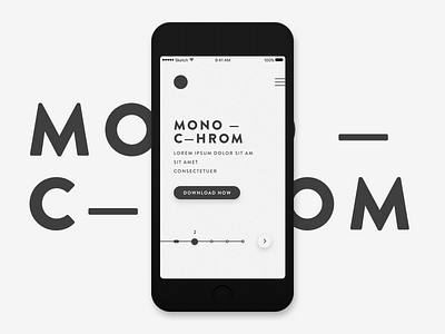 Daily- UI: Mono — C—hrom animation blackwhite color dailyui filter gif grunge interaction minimalism