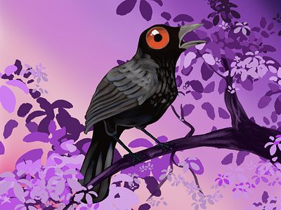 cute crow design graphic design il illustration logo ui vector
