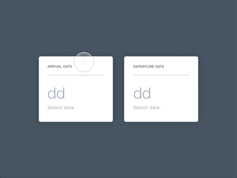 Date Selector animation booking experiences interaction principle search tourism travel trip ui ux website