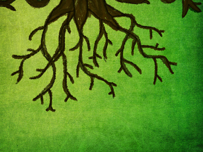 Rooted green logo nature roots texture video