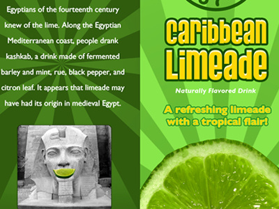 Caribbean Limeade carton green lime limeade packaging