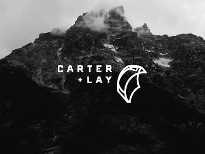 Carter + Lay - Falcon Logo art direction bird branding consultant firm design falcon hawk identity logo