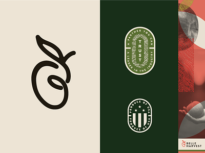 Apple "B" Logo & Brand elements apple b brand design branding emblem farming full circle growing identity logo logo design
