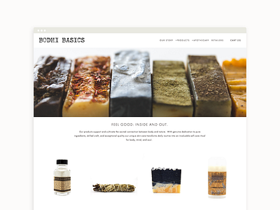 Bodhi Basics Landing Page