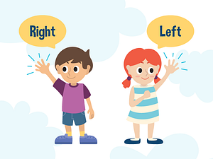 Left and Right by Errol Hoffman on Dribbble