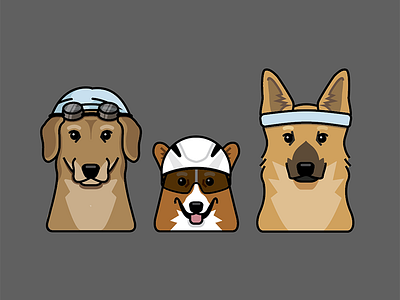 Triathadogs