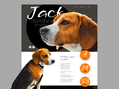 Pet website | Landing page concept design figma landing page pet pet website ui