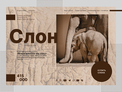Buy an elephant design elefant figma graphic design