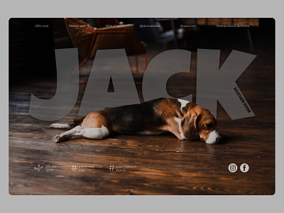 Pet site beagle design dog site figma hero image home screen landing page pet site ui visual