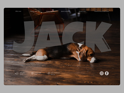 Pet site beagle design dog site figma hero image home screen landing page pet site ui visual