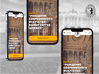 The Hermitage | Mobile hero image | Re-design adaptive design design concept figma hermitage hero image iphone mobile museum redesign ui