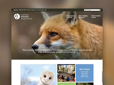 Lindsay Wildlife Experience grid lindsay wildlife experience web web design